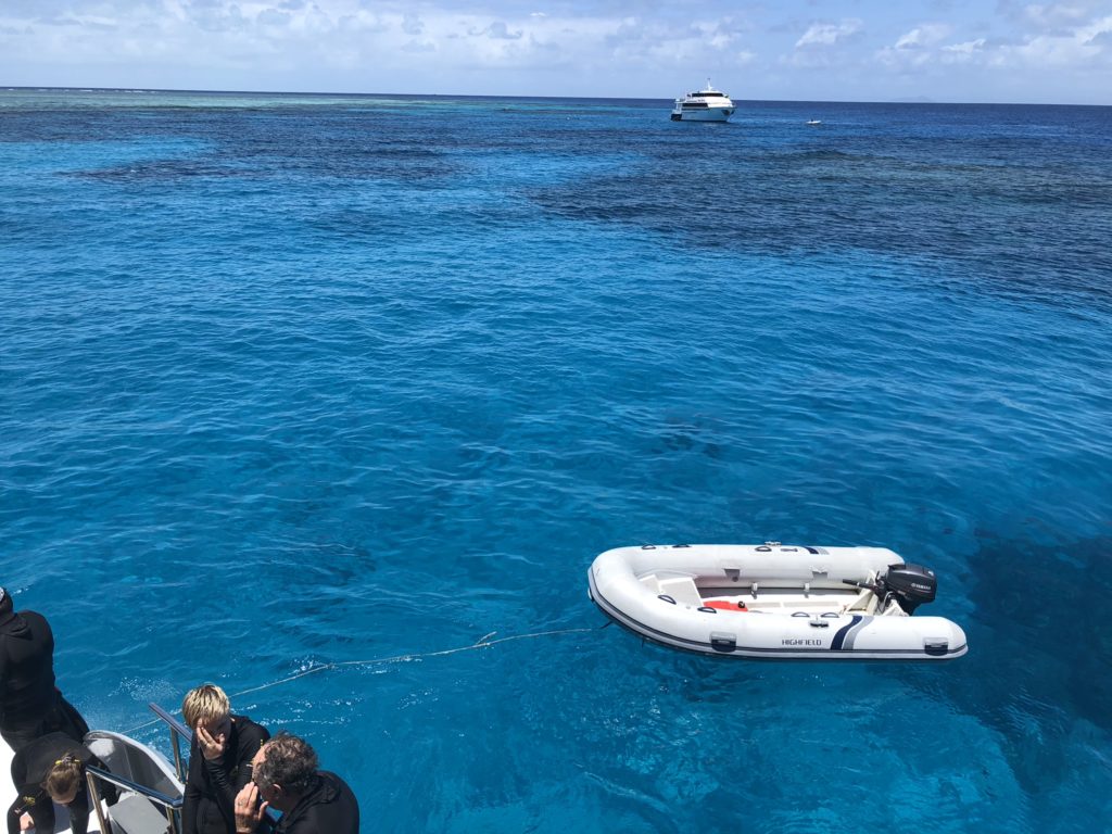 joshua biggers and the best time to visit the great barrier reef