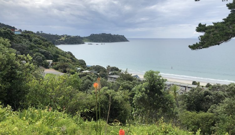 Auckland to Queenstown 